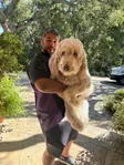 Steff, our lead groomer